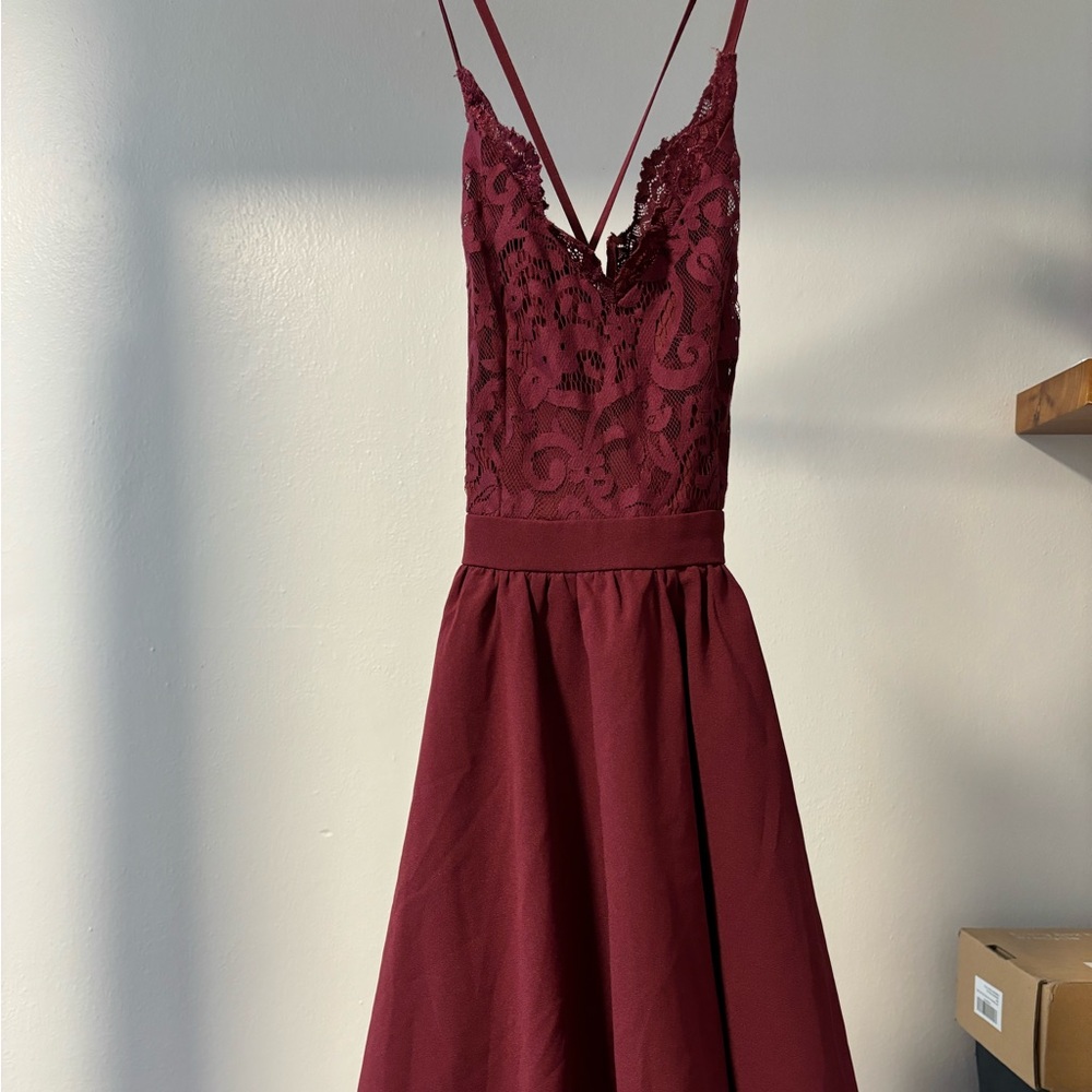 Tobi Lace Skater Dress